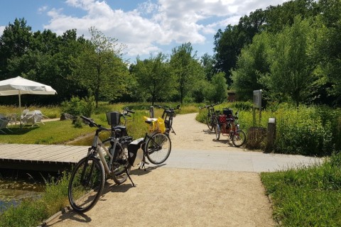 Keine Fahrräder und E-Scooter im Botanischen Garten erlaubt